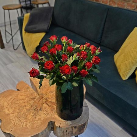 Апартаменти Loft Maly Косьцежина Екстер'єр фото